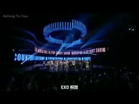 光荣之路上的狗