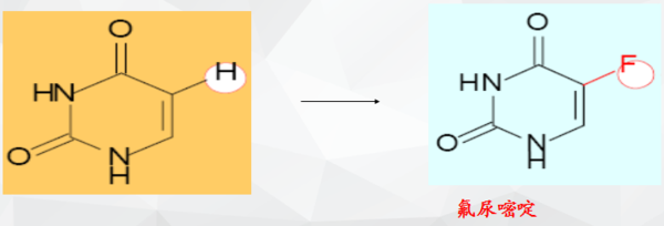八星报喜1988 普通话版