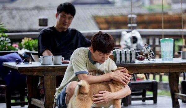 八面修罗之九重锁