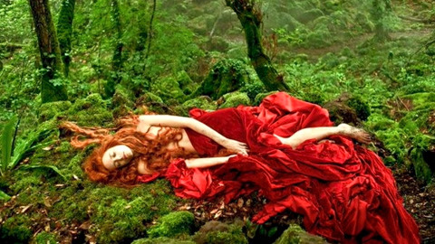 光荣之路上的狗