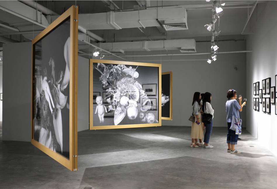 养鬼吃人8：地狱世界