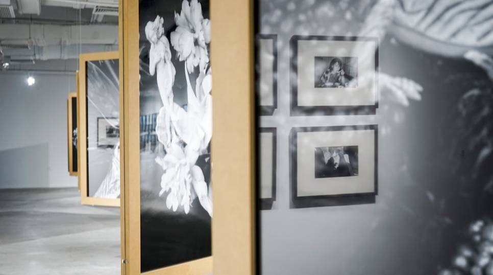 养鬼吃人8：地狱世界