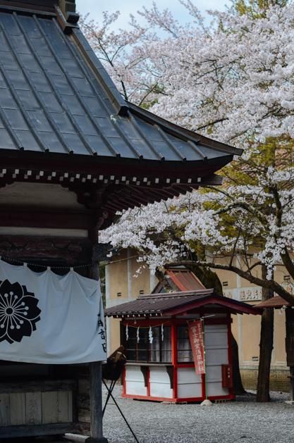 六扇门之血手奇谭