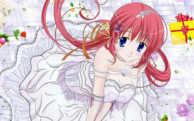 八月桂花遍地开