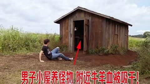 再见我们的十年