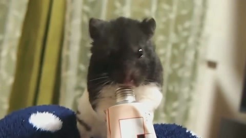 再见我们的十年