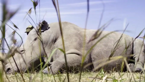 公众之敌(粤语版)