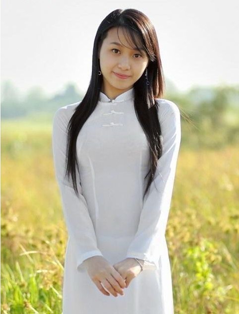 公鸡母鸡拖拉机