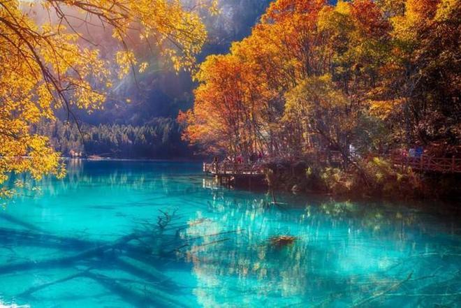 凯利帮的真实历史