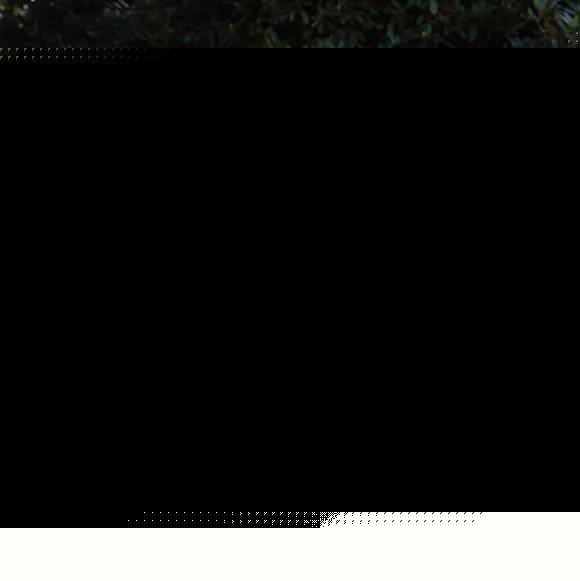 在大雪封闭的山庄里