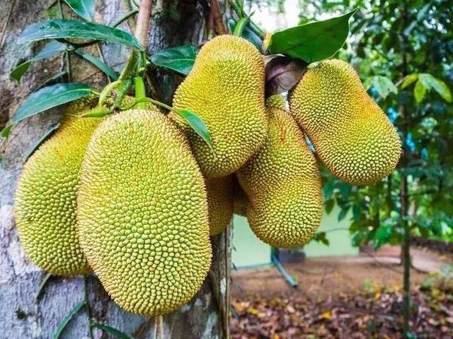 八卦风云之河图