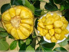 关于阿斯特丽德