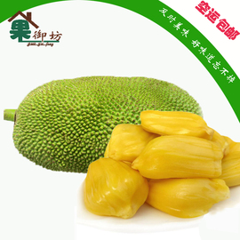 凿空者之使命召唤