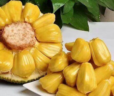 全息游戏：恋爱世界