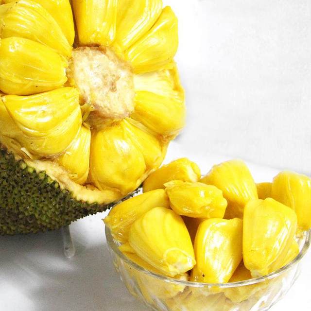 全息游戏：恋爱世界