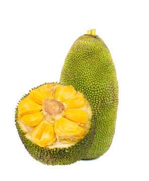 养家之人（原声版）