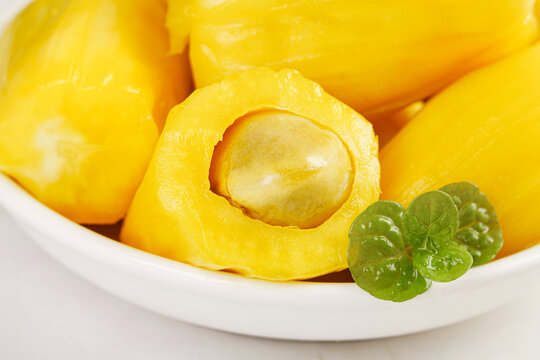 关于我和鬼变成家人的那件事