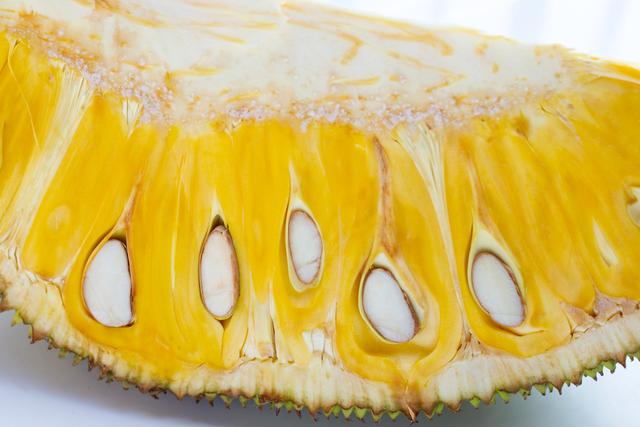 刀剑神域：剧场版序列争战